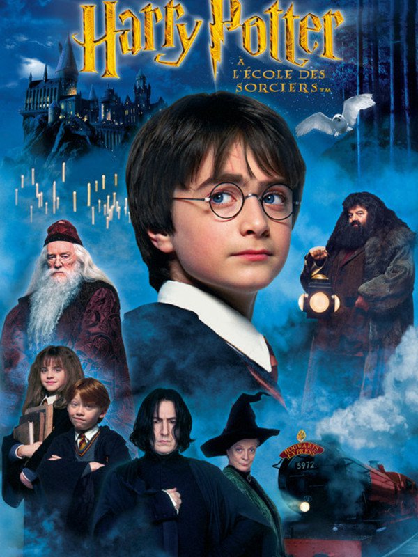 Harry Potter à l'école des sorciers - 1er cours de vol, Le premier cours  de vol en balai dans Harry Potter à l'école des sorciers, By Les  Meilleures Scènes