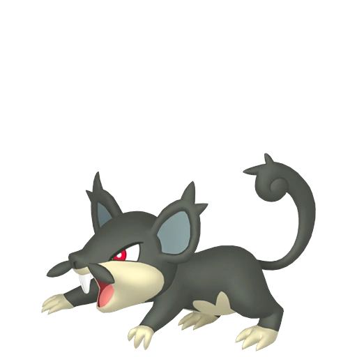 Alolan Rattata | Jerry Mouse Island Wiki | Fandom