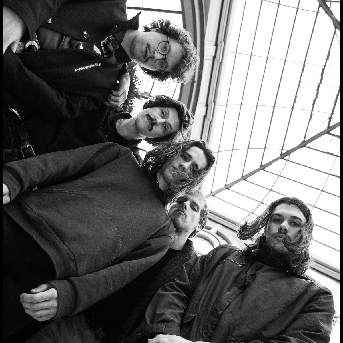 Post Animal | Joe Keery Wiki | Fandom