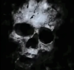 Skull Man (disambiguation) | Joey Slikk Alt Wiki | Fandom