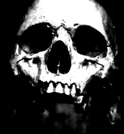 Mr. Incredible Becoming Skull (INACCURATE), Joey Slikk Alt Wiki