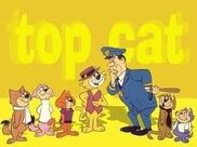 Top Cat