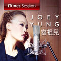 2013 iTunes Session