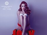 Hopelessly Romantic Collection (compilation)