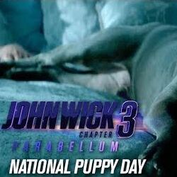 John Wick Chapter 3 Parabellum The John Wicki Fandom