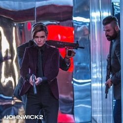 Ruby Rose, The John Wicki