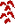 GlyphN.png