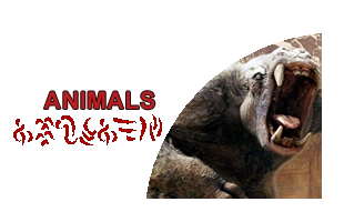 Animals