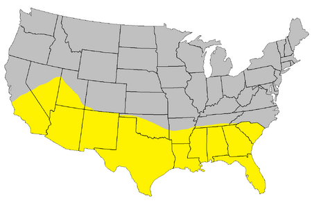 Sun Belt, Region, United States, & Map