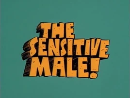 The Sensitive Male