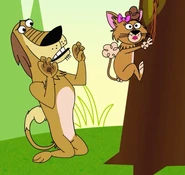 Dutchy as a cat