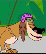 Dutchy sniffing