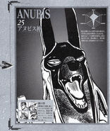 Anubis