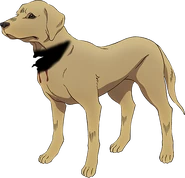 Arnold keyArt.png (156 kB)