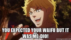 It-Was-Me-Dio-waifu.jpg (108 kB)