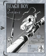 Beach Boy