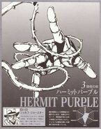 Hermit Purple1