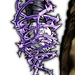 Hermit Purple - ASBR
