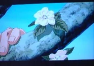 JoJo movie Jonathab Hamon blossom flowers.jpg (10 kB)