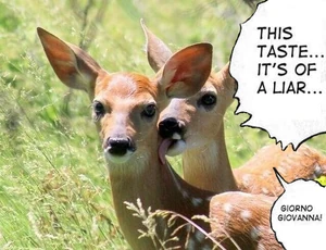Taste-of-a-deer.png (423 kB) Una versión emparejada con una fotografía de venados.