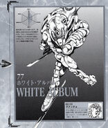 White Album