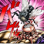 EmpressFlyManga.png (155 kB) Empress desarrollando una boca, comiendose la cabeza de una mosca