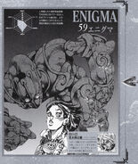 Enigma