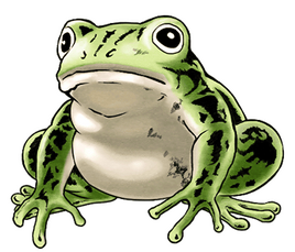 Frog