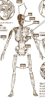 Las partes del cadáver que todos persiguen