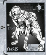 Oasis
