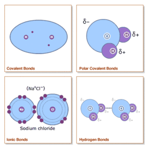 Allbondingtypes-1-