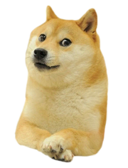 Doge