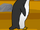 Penguin (Adventure Quest)