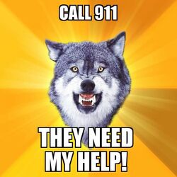 Courage Wolf Call 911