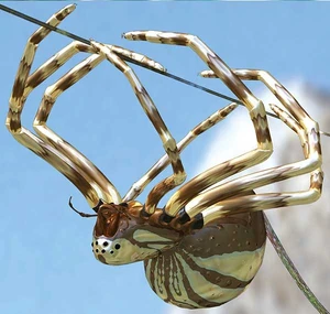 The Silver Spider
