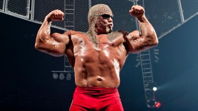 Scott Steiner bio