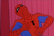 Spider-meme