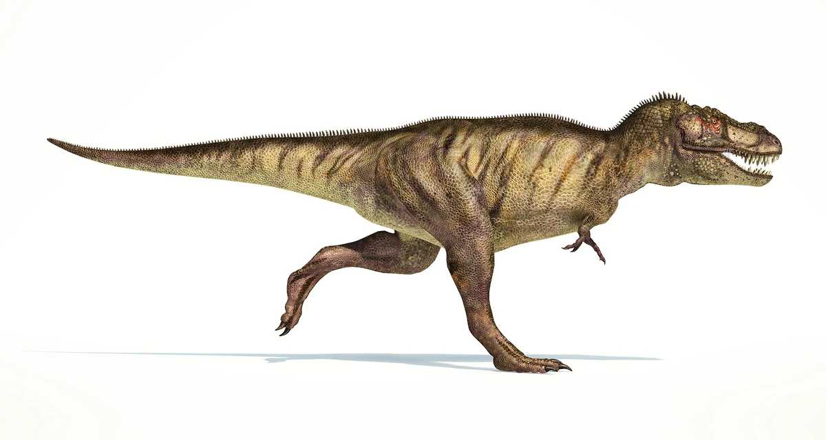 T-Rex (WIth Godzillas Powers) | Joke Battles Wikia | Fandom