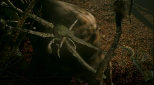 Squibbon-Megasquid.png (1.36 MB) A Squibbon and a Megasquid (both are Terasquids).