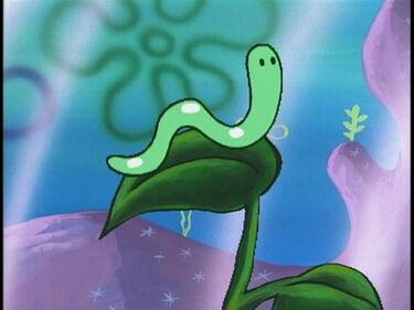 Wormy Closeup