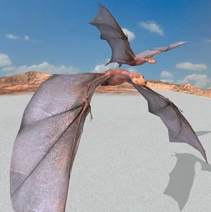 Deathgleaner-Pair.jpg (47 KB) A Deathgleaner pair (5 Million AD).