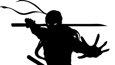 Ninja-Shadow-2
