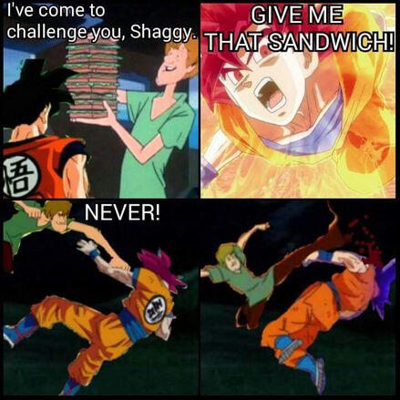 Multi Galaxy Level Shaggy