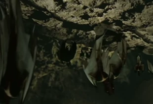 Bat-Roost.png (624 KB) A Deathgleaner roost. Deathgleaners huddle together.