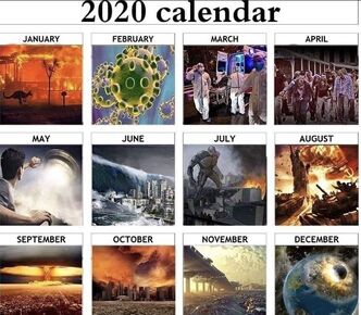 2020 Disaster Calendar Meme.jpg