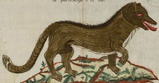 Beast-Wolf