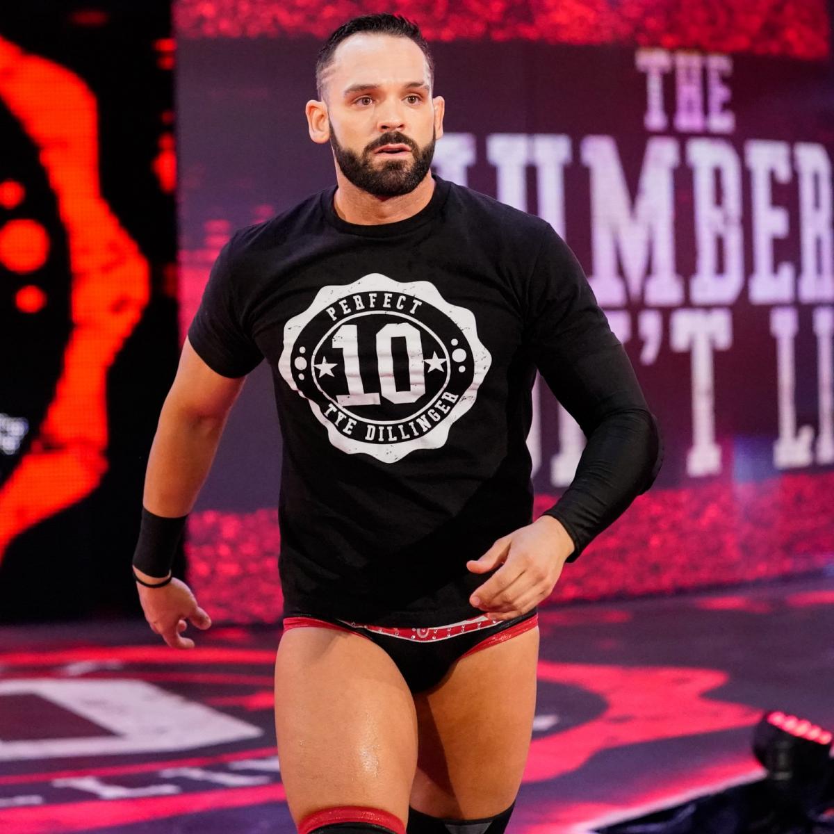 Tye Dillinger, Pro Wrestling