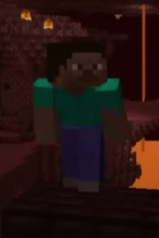 Steve(Not Safe)