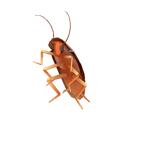 Roach | Joke Battles Wikia | Fandom, image size:540x540