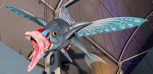 A model of an Ocean flish.